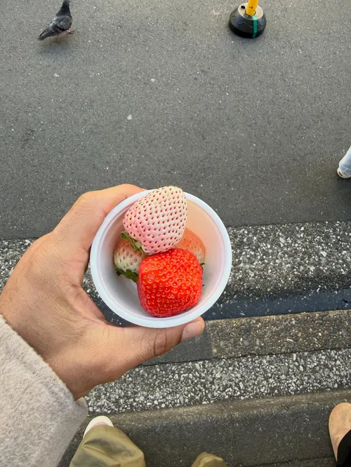 カイレン・ウィリアムズ at (情報募集中)