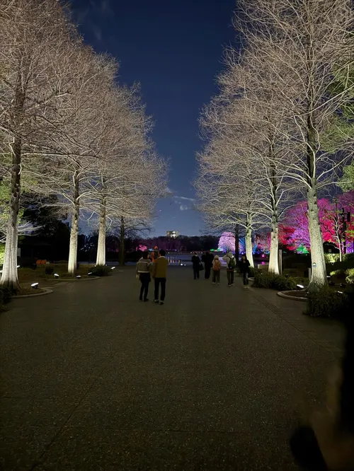 カイレン・ウィリアムズ at (情報募集中)