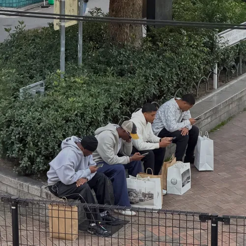 ゼビア・ワッツ at (情報募集中)