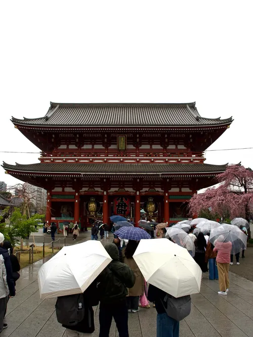 シラン・ニール at 東京 浅草浅草寺 宝蔵門