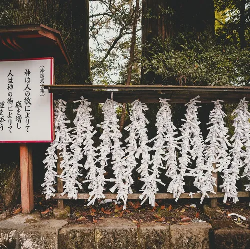 ブランドン・スパイクス at 箱根神社