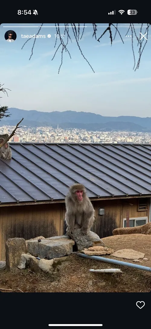 ダバンテ・アダムス at 嵐山モンキーパークいわたやま