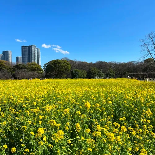 レナード・ウィリアムズ at 浜離宮公園