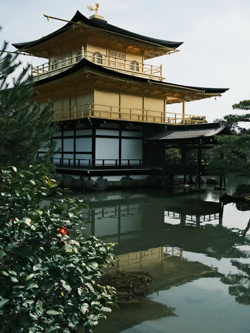 クウィティ・ペイ at 京都金閣寺