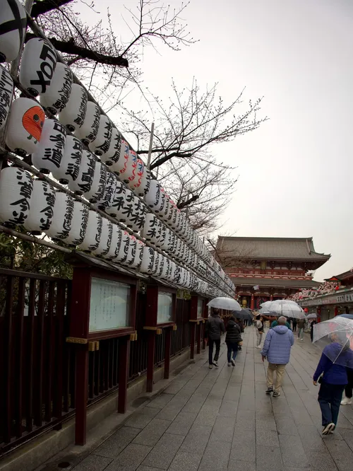 シラン・ニール at 東京 浅草 浅草寺 仲見世通り