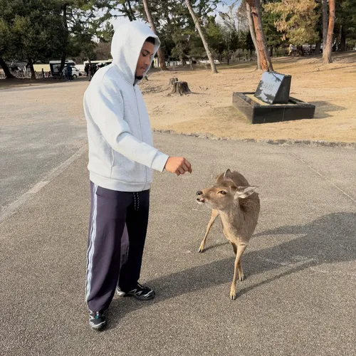 ゼビア・ワッツ at 奈良