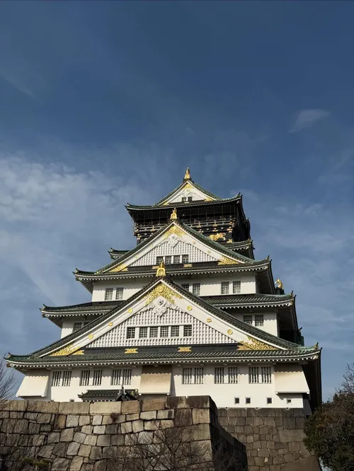 ジャクソン・ホーズ at 大阪城