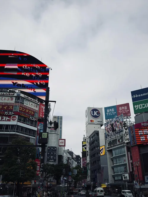 ヌチェンナ・ヌウォーシー at 渋谷スクランブル交差点