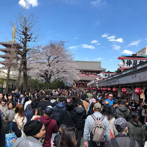 エリック・ウィルソン at 東京 浅草 浅草寺 仲見世通り