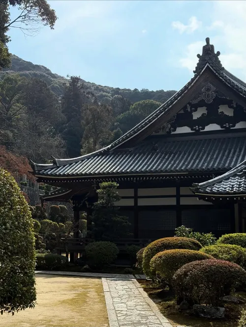 ジャクソン・ホーズ at (情報募集中)