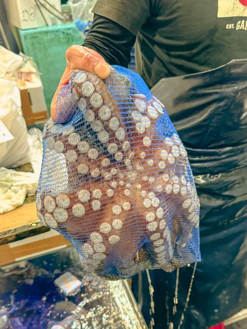 トム・ブレイディ at (情報募集中)
