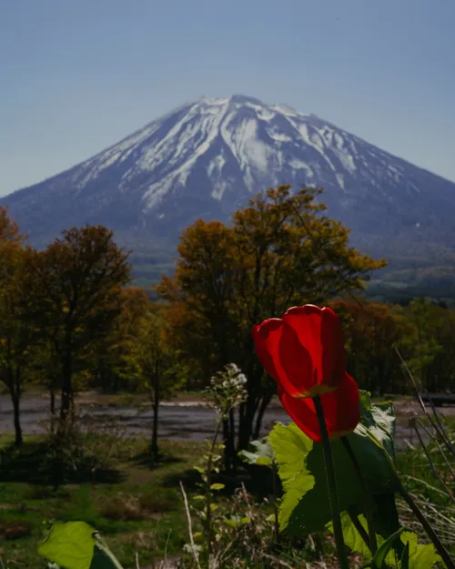 マイルズ・ギャレット at 羊蹄山