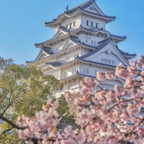 レナード・ウィリアムズ at 姫路城