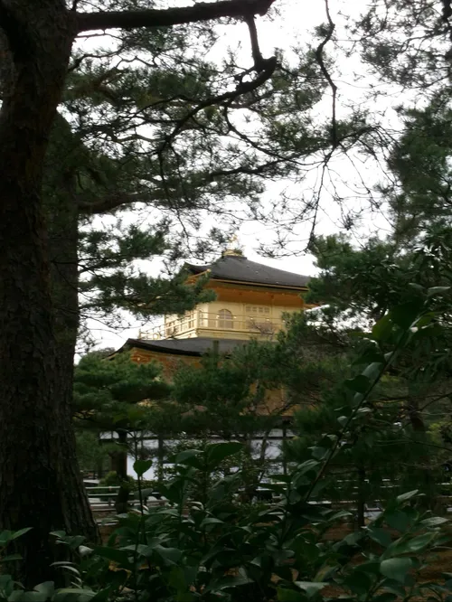 リバイ・オウンズワリケ at 京都金閣寺