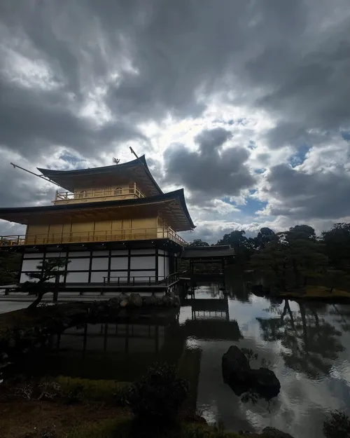 タイラー・アルジアー at 京都金閣寺