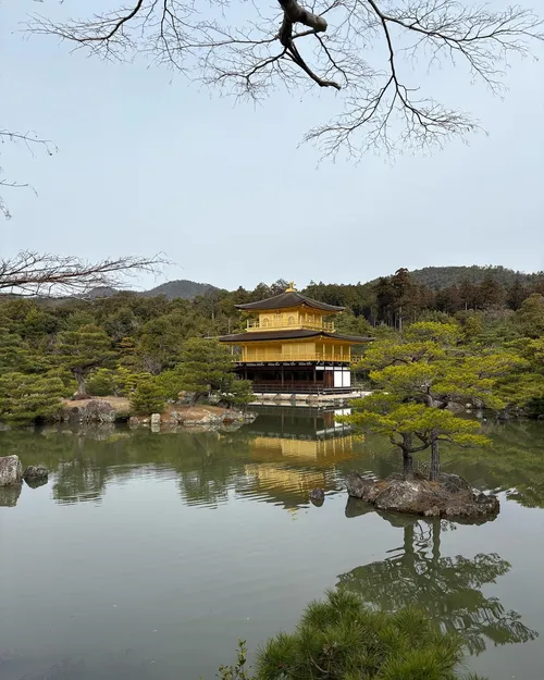 ドレイク・メイ at 京都金閣寺