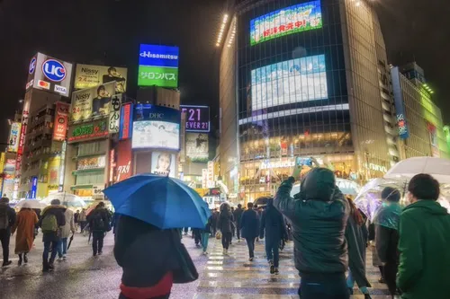 ブランディン・クックス at 渋谷スクランブル交差点